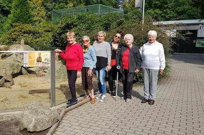 A hurá do ZOO Liberec