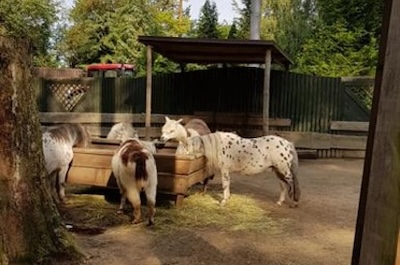 A hurá do ZOO Liberec