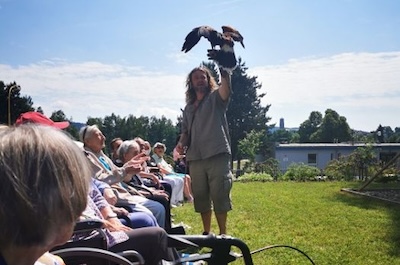 Přehlídka dravců