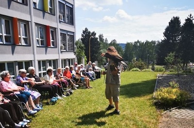 Přehlídka dravců