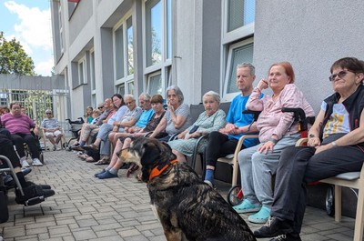 Beseda s útulkem Dášenka