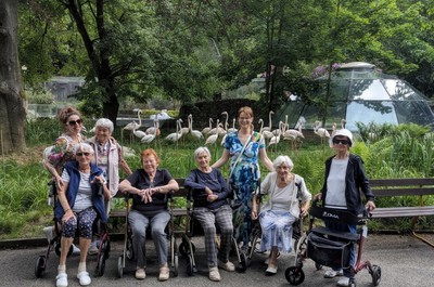 Návštěva v ZOO