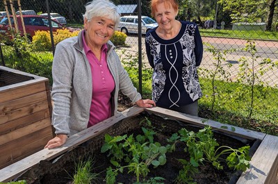 Sázení bylinkové zahrádky a muškátů