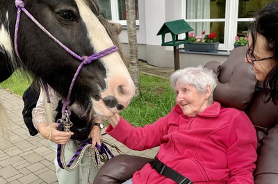 Návštěva terapeutického koně