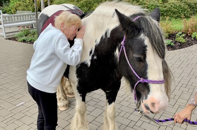 Návštěva terapeutického koně