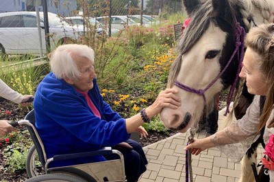 Návštěva terapeutického koně